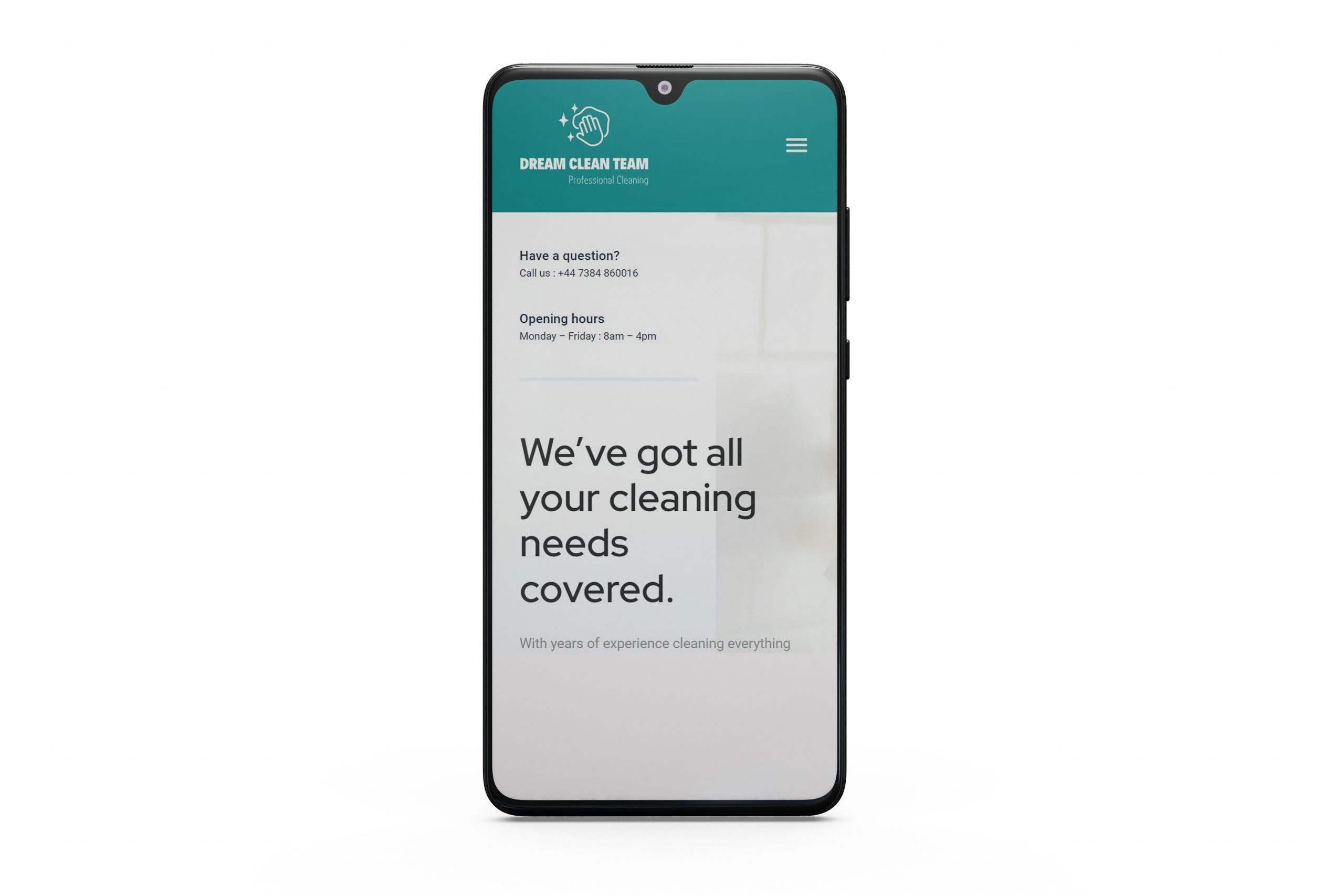 cleaning website responsive mobile scaled