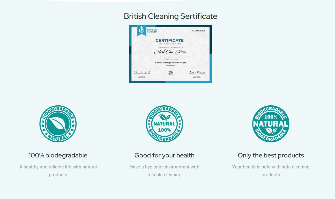 dream clean team features