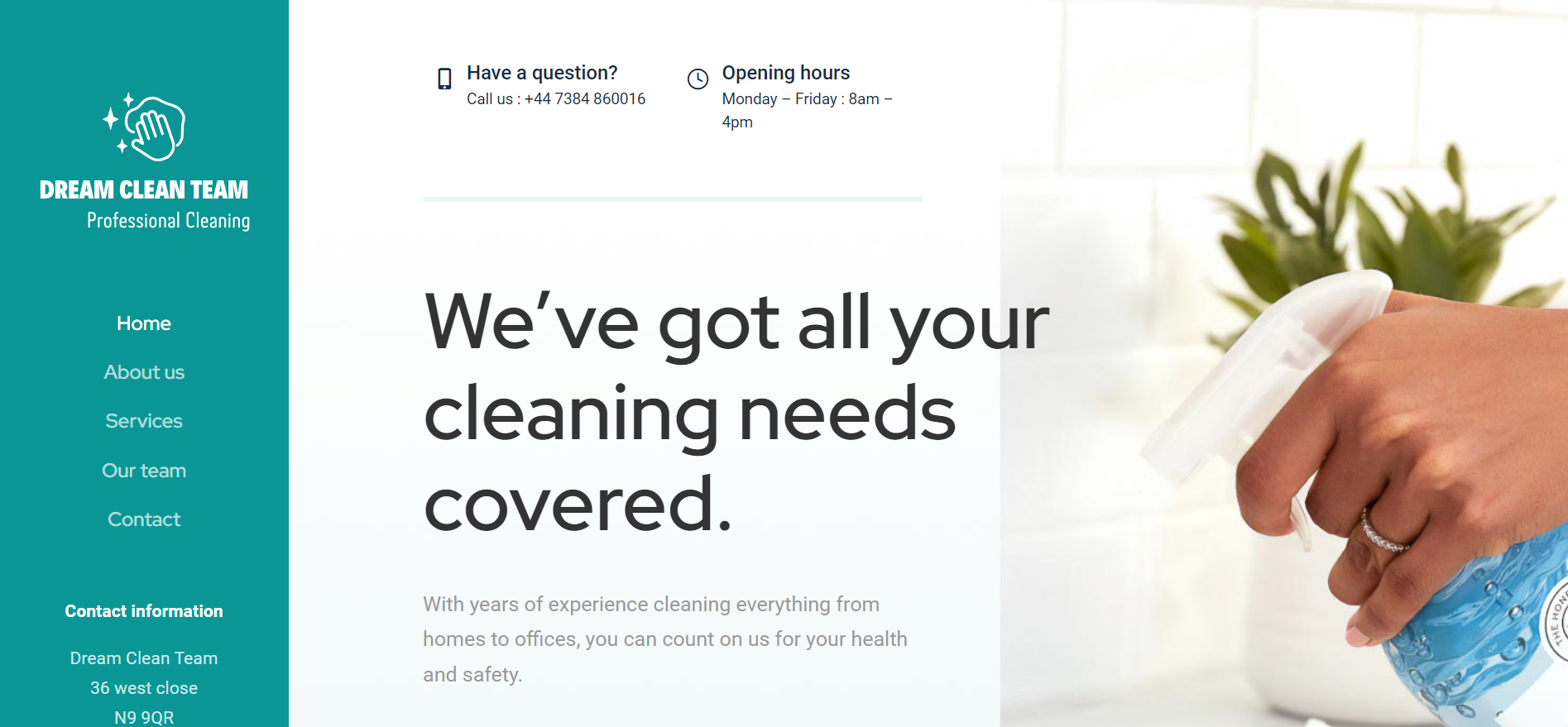 dream clean team homepage